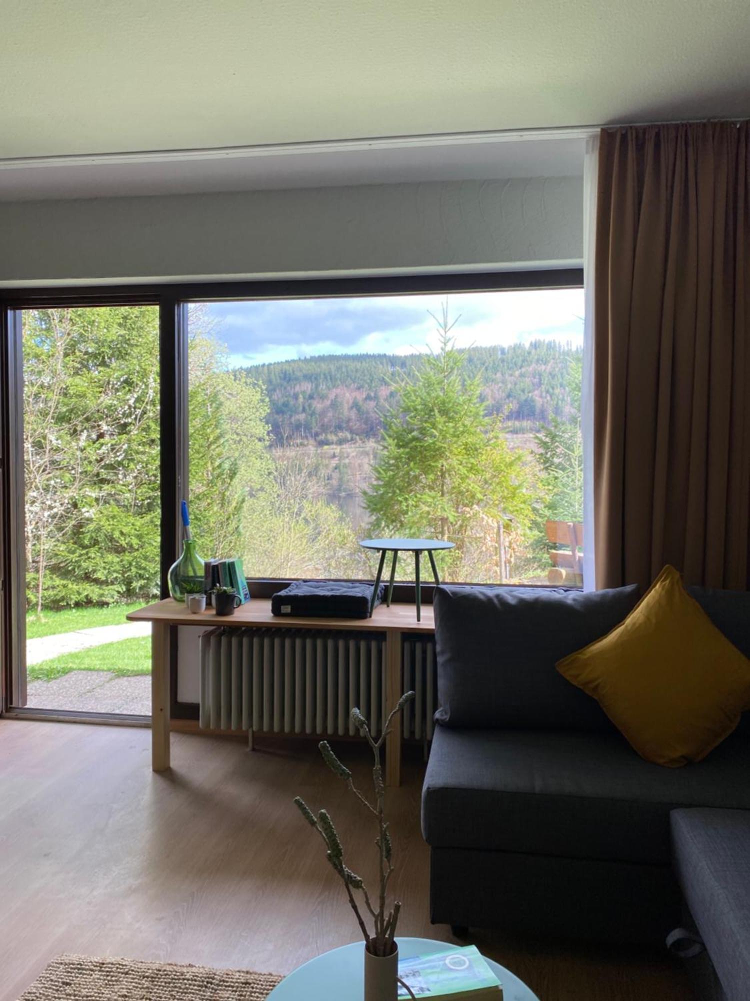 Black Forest Apartments Titisee Eksteriør billede