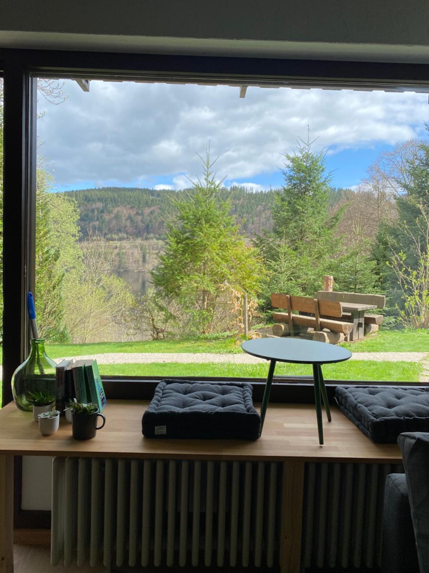 Black Forest Apartments Titisee Eksteriør billede
